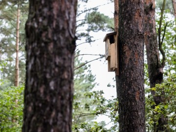 Letnie działania w Przedborskim Parku Krajobrazowym 2025, 